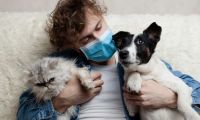 Cães e gatos podem apanhar Covid e transmitir a doença? Toda a verdade